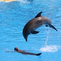 Marineland - Dauphins - 040